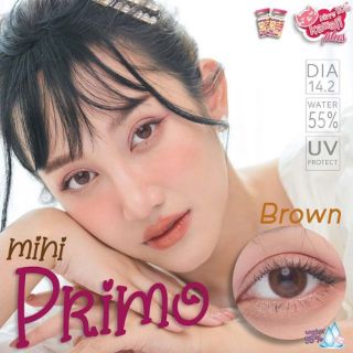 คอนแทคเลนส์รายเดือน ❤️Mini Primo Brown❤️ Kittykawaii