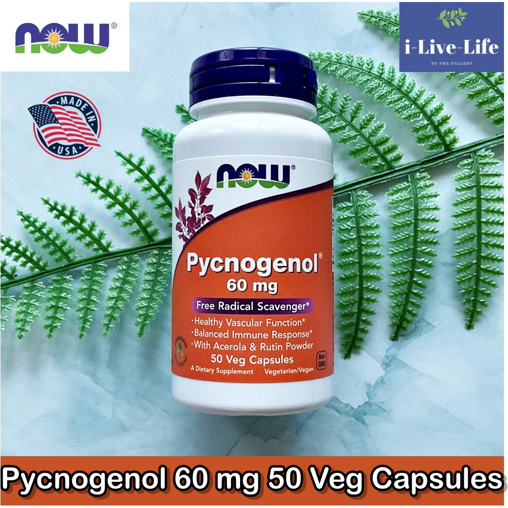 เปลือกสนสกัด Pycnogenol 60 mg 50 Veg Capsules - Now Foods
