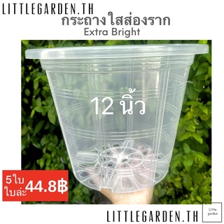 Little กระถางใส 12 นิ้ว 10 นิ้ว กระถางพลาสติกใส (สีใสA+💎)