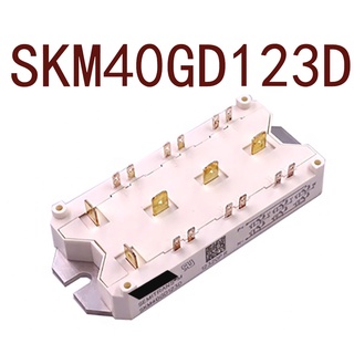 Sz SKM40GD123D SKM40GD101D รับประกัน 1 ปี {รูปถ่ายจากโกดัง}