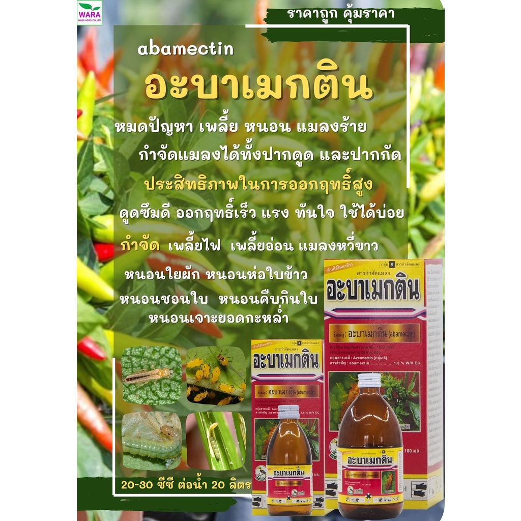ยาฆ่าหนอนใยผัก หนอนชอนใบเพลี้ยไฟเพลี้ยอ่อน ผักคะน้า พริก มะนาวขวดเดียวได้หมด อะบาเมกติน1.8เข้มข้น อะบาแมกติน แดง