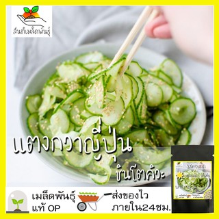 เมล็ดพันธุ์ แตงกวาญี่ปุ่น ชินโตคิวะ 20 เมล็ด Shintokiwa Japanese Cucumber เมล็ดพันธุ์แท้ นำเข้าจากต่างประเทศ ปลูกผัก