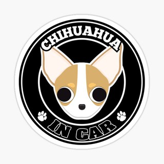 สติ๊กเกอร์ติดรถ แต่งรถ สติ๊กเกอร์ แม่เหล็กติดรถยนตร์ สติ๊กเกอร์หมา Chihuahua in Car  - DGC34