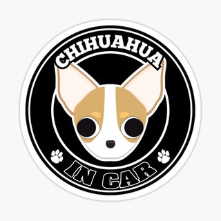 สติ๊กเกอร์ติดรถ แต่งรถ สติ๊กเกอร์ แม่เหล็กติดรถยนตร์ สติ๊กเกอร์หมา Chihuahua in Car  - DGC34