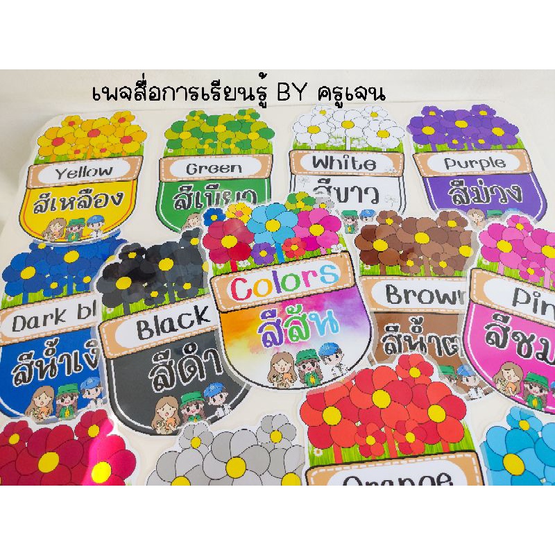 สื่อการสอน สีสันรูปดอกไม้ 12 สีพร้อมหัวข้อ (ติดผนัง) เคลือบร้อนคงทนทุกชิ้น