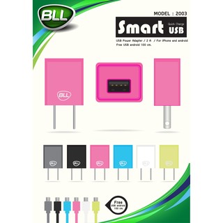 JHI0332 - BLL 2003 - Wallcharger Micro 2A