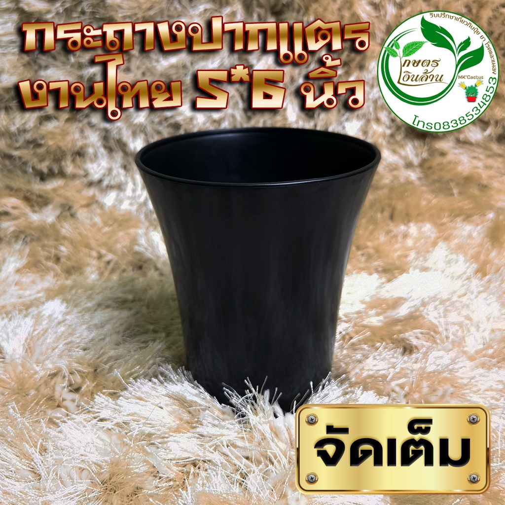 [แตกเคลมทันที]กระถางปากแตร 5 นิ้ว ผิวเงา สวยมาก งานไทย By.คิม เกษตรเงินล้าน
