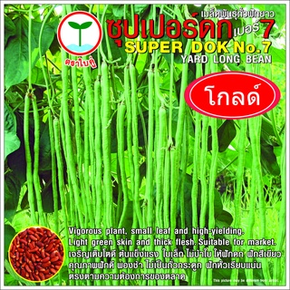 เมล็ดพันธุ์ : ถั่วฝักยาว ซุปเปอร์ดก โกลด์