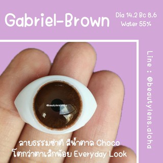 🧡Gabriel-Brown•Gray☆สายตา 00-700☆รายเดือน