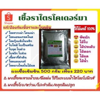 กำจัดเชื้อรา หัวเชื้อไตรโคเดอร์มา 500 กรัม กำจัด/ป้องกันโรครากเน่า โคนเน่า ใบไหม้ ใบสนิม แคงเกอร์  แอนแทรคโนส กุ้งแห้ง