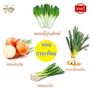 อินทรีย์ ต้น ดอก/หอมและกระเทียมทุกสายพันธุ์ถูกที่สุด 10 บ.เมล็ดพันธุ์หอมและกระเทียม40- 50 เมล็ดงอกง่าย โตไว☘️ทานอร่อ YNO