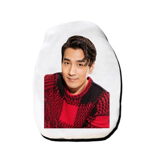 หมอนไดคัท สั่งทำ ตุ๊กตา ตุ๊กตาหน้าเหมือน หมอนตุ๊กตา เจ้าโย่วถิง Mark Chao เยี่ยหัว สามชาติสามภพป่าท้อสิบหลี่