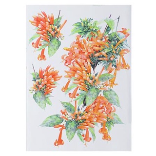 พร้อมส่ง สติ๊กเกอร์ลอกน้ำ DIY LIVING STYLE ORANGE FLOWER 34X47 ซม. แต่งผนัง sticker