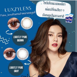 LuxzyLens Lightly Pure Gray ลัคซี่เลนซ์ แถมตลับ ค่าสายตา