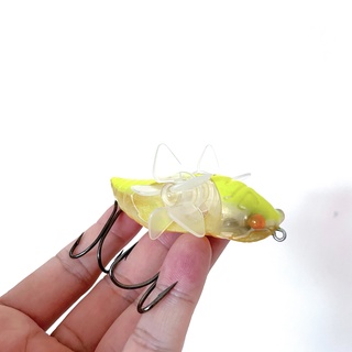 เหยื่อตกปลาแท้จากญี่ปุ่น ยี่ห้อ Megabass Live N Cicada  7.3 cm. 14 g. เหยื่อผิวน้ำ ใหม่พร้อมกล่อง