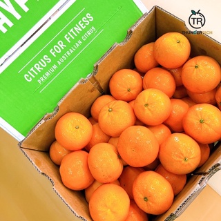 สินค้าเข้าใหม่ 19/8/66‼️ Mandarin Orange 🍊🦘ส้มแมนดารินนำเข้าจากประเทศออสเตรเลีย🛳