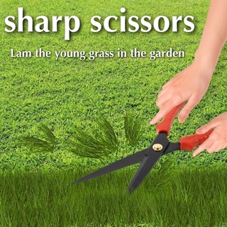 กรรไกรตัดกิ่งไม้ปลายแหลม sharp pruning shears สินค้านำเข้า พร้อมส่ง