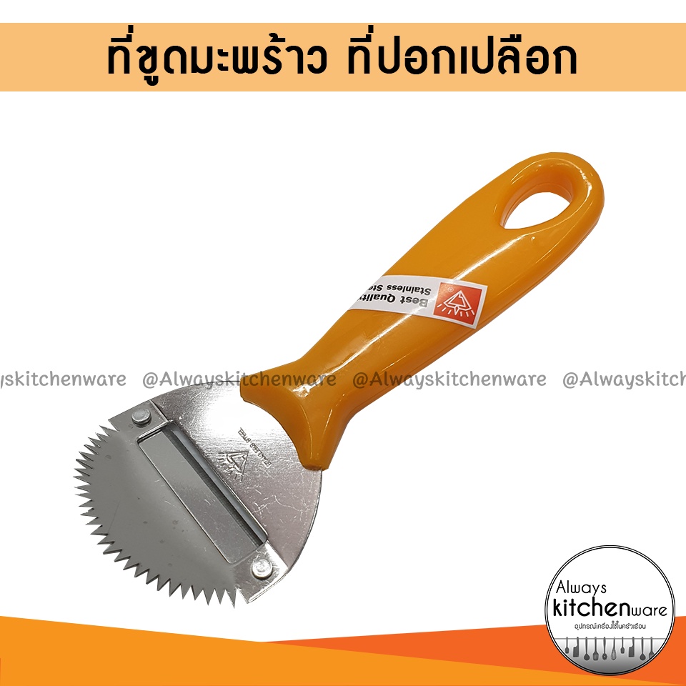 ที่ขูดมะพร้าว ที่ปอกเปลือก ด้ามสีส้ม (No.802)