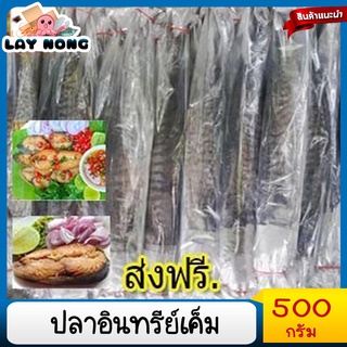 ปลาอินทรีย์เค็มทำในเรือ 500กรัม#ปลาน้ำเค็ม#คะน้าปลาเค็ม#ปลาอินทรีย์#ปลาอินทรีย์เค็ม#อาหารทะเล#อาหารทะแห้ง