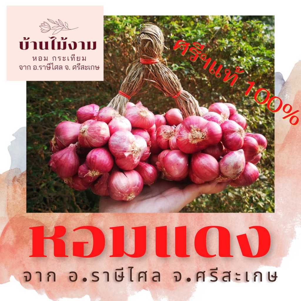 หอมแดง ศรีสะเกษ  บ้านไม้งาม  คัดเกรด ส่งออก ราคาชาวบ้าน