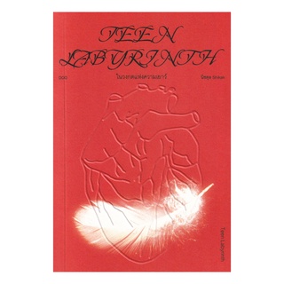 หนังสือ ในวงกตแห่งความเยาว์ (Teen Labyrinth)