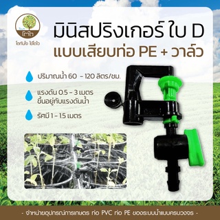 มินิสปริงเกอร์ ใบD แบบเสียบท่อ PE+วาล์ว - โตไว