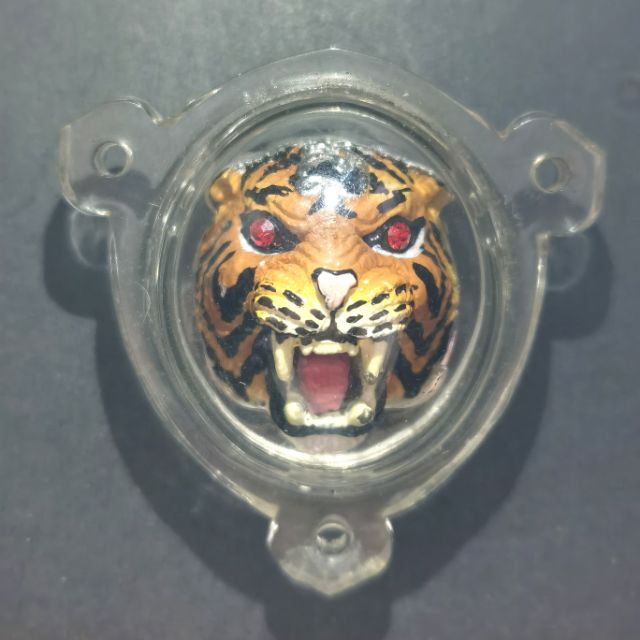 LP SAM ANN WAT BANGPHRA( LP PERN )头 TIGER HEAD, เคสเสือน้ํา BE:2554 AMULET 99 泰国