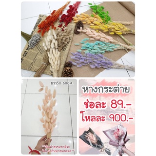 หญ้าหางกระต่าย  ดอกไม้แห้ง PRP34