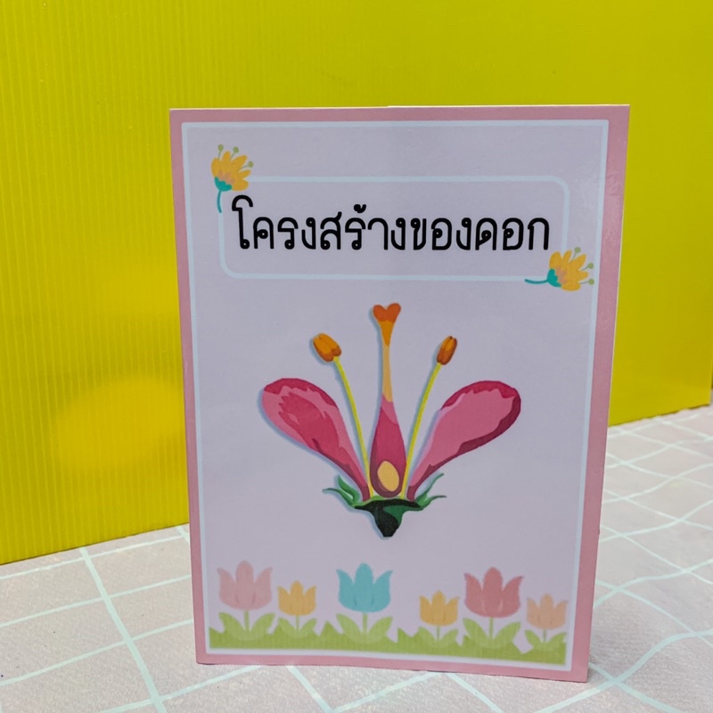 สื่อการสอน "โครงสร้างของดอก" ป๊อปอัพซิกแซก