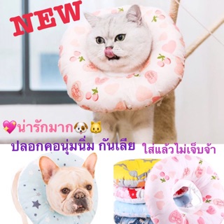 NEW: ปลอกคอกันเลีย รุ่นนุ่ม ใส่ไม่เจ็บ สำหรับแมวโต/สุนัข🐶🐱