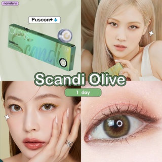 Nanalens/Olens รุ่น Scandi 1 Day สี Olive คอนแทคเลนส์รายวัน 5 คู่