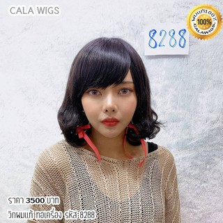 ฟ้าใสวิกผม CALAWIGS-2020 วิกผมแท้ ทอเครื่อง รหัส 8288