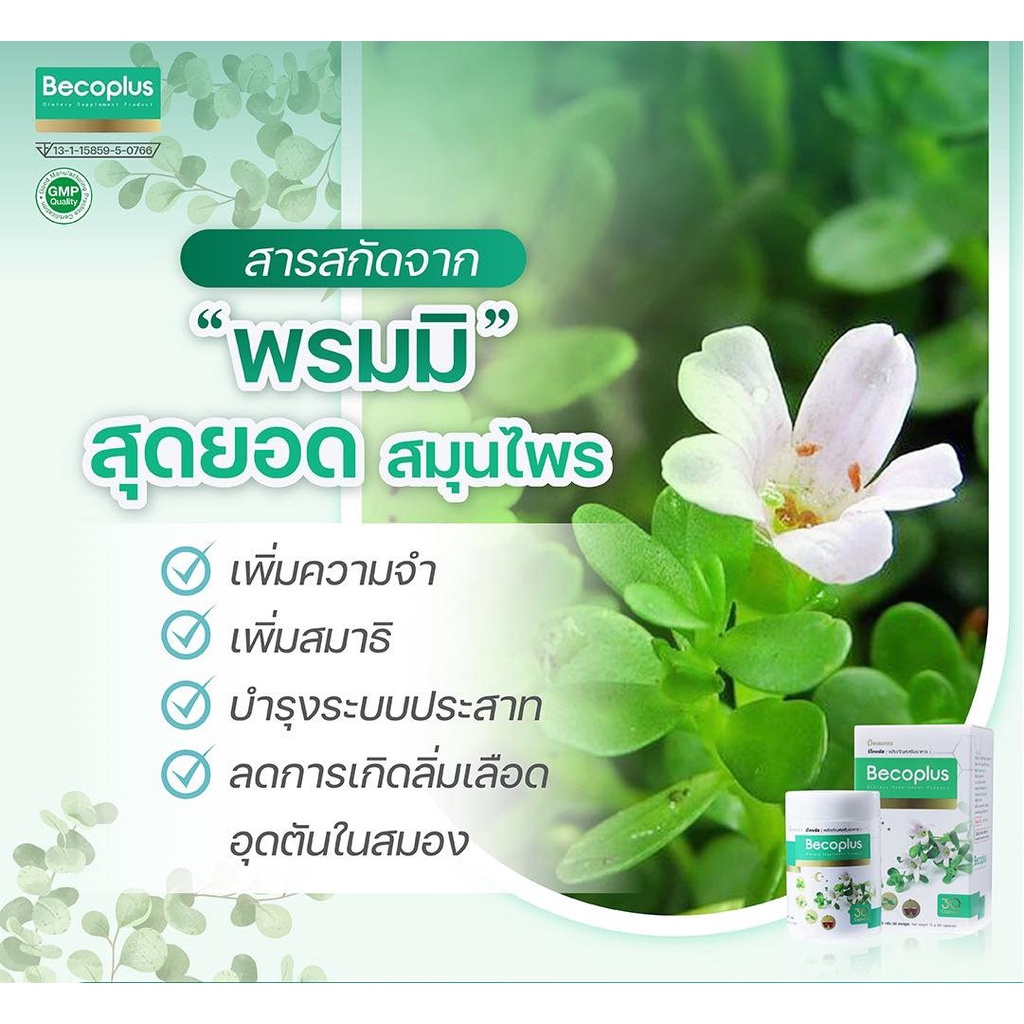 Becoplus บีโคพลัส ผลิตภัณฑ์เสริมอาหาร ช่วยบำรุงสมอง ป้องกันอัลไซเมอร์ ...