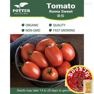 Potter - Tomato Sweet Roma vegetable seeds, 10 seedsบ้านและสวน/seeds/กระโปรง/แม่และเด็ก/ผักชี/คื่นฉ่าย/สร้อยข้อมือ/ดอกทา