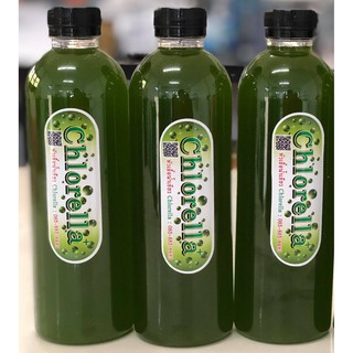 หัวเชื้อน้ำเขียวคลอเรลล่าน้ำจืด (Chlorella) คุณภาพผลิตจากห้องปฏิบัติการ  จำนวน 3 ขวด (ขวดละ 500 ml.)