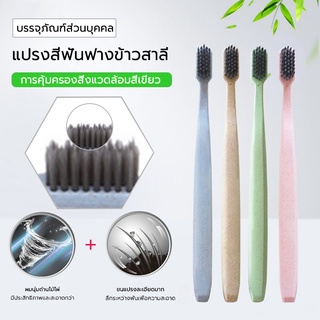 แปรงสีฟัน แปรงสีฟันญี่ปุ่น ชาย/หญิง มี 4 สีให้เลือก