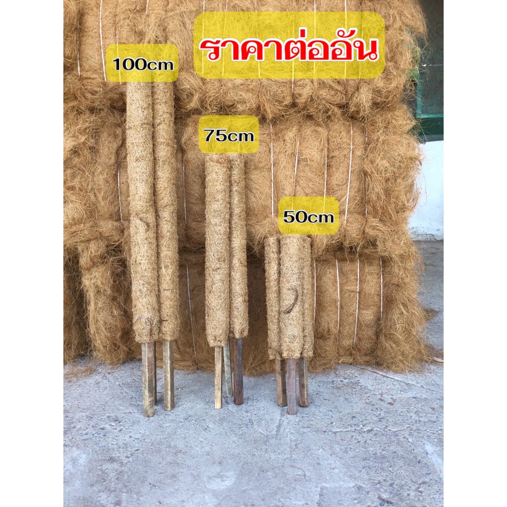 ROD100cmหลักไม้เลื้อย ทำจากไม้เนื้อแข็งหุ้มใยมะพร้าว2ชั้นเพื่อยึดเกาะ ขนาดยาว100ซม.