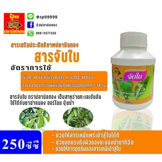 สารจับใบ ปุ๋ยน้ำ ปุ๋ยน้ำทางใบ ฮอร์โมนน้ำ ตราปลานิลทอง  ขนาด 250 ซีซี