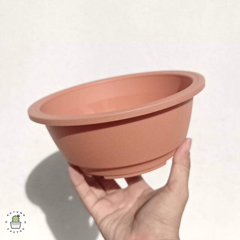 ⚫🟠กระถางทรงกลมแบน ปากแบน กระถางต้นไม้ กระถางใส น้ำตาล และสีดำ 4 - 5.5 - 6.5 นิ้ว⚫🟠 - รูปที่ 5