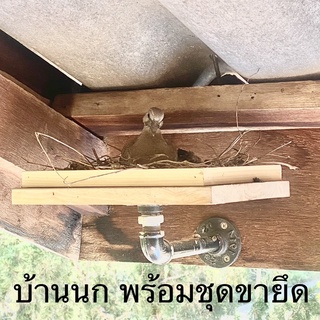 บ้านนก พร้อมชุดขายึดตัวบ้าน