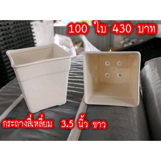 กระถางสี่เหลี่ยม 3.5 นิ้วสีขาวขาย 100 ใบ