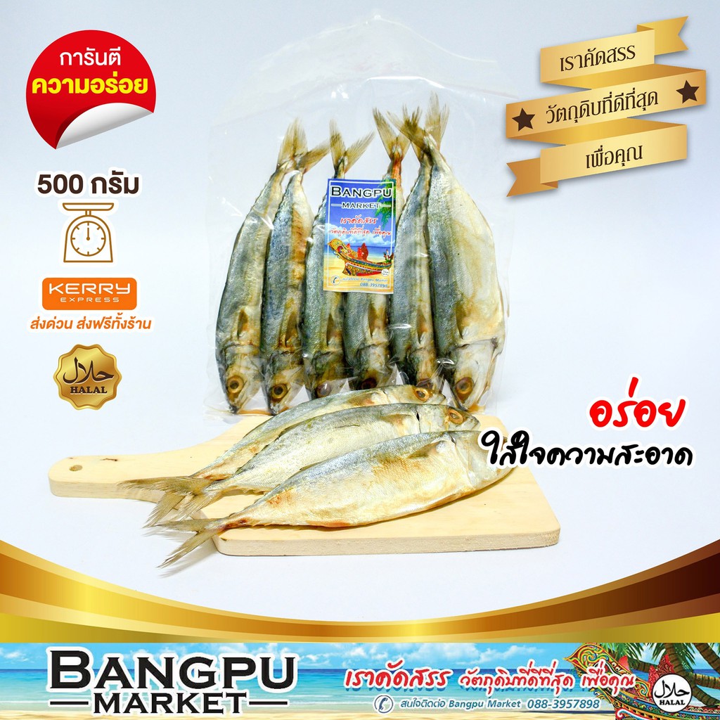 ปลาทูมัน 500 กรัม ปลาทูหอมท่าฉลอม ปลาทู หอมกลาง ปลอดสารพิษ ผลิตสะอาด ปลาทูแท้ Salted marinated mackerel  500g.