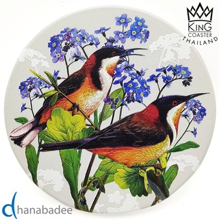 King Coaster จานรองแก้วดูดน้ำ  BIRD-02 (D10032)  เซรามิก ธนบดีเซรามิค