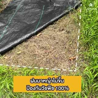 (ม้วน) พลาสติกคลุมดิน ผ้าคลุมดิน ผ้าคลุมหญ้า พลาสติกคลุมหญ้า ป้องกันวัชพืช น้ำซึมผ่านได้
