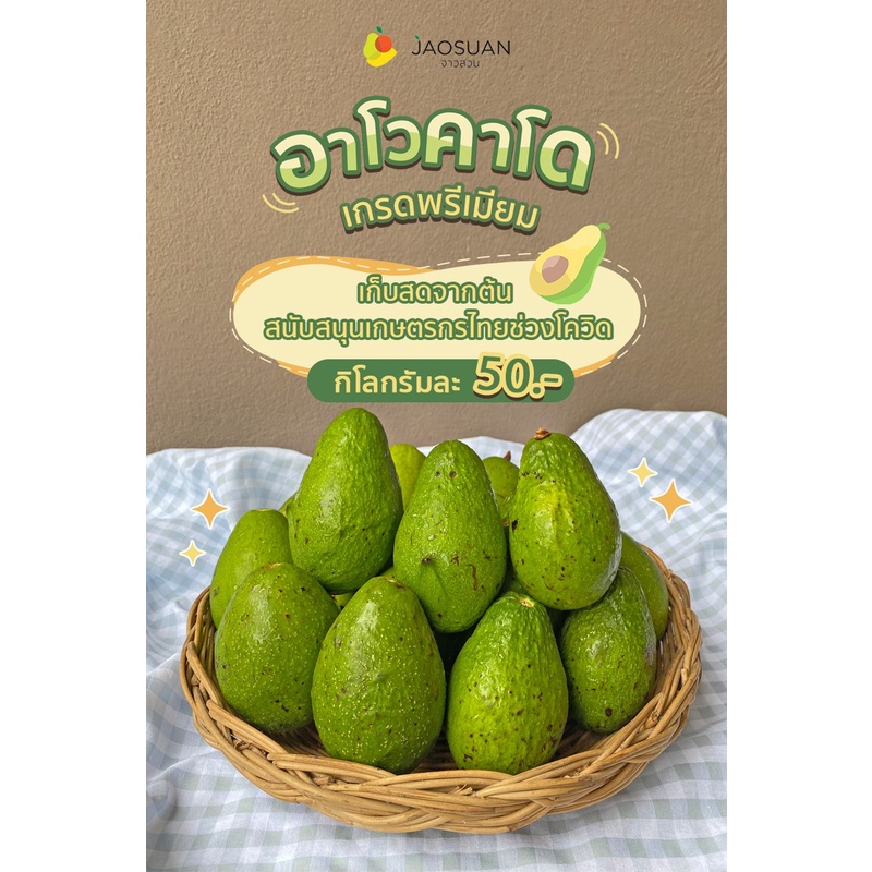 Avocado อะโวคาโดไทย โดย จาวสวน 2 กิโลกรัม 118 บาท