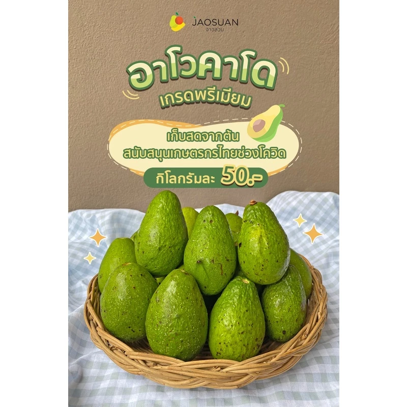 Avocado อะโวคาโดไทย โดย จาวสวน AV 1 กิโลกรัม 59 บาท
