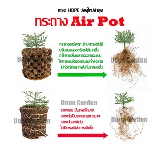 T034 PlantsCenter HDPE กระถางปลูกต้นไม้ Air Pot แบบหนา สีขาว กระถางมีรู กระถางต้นไม้เพิ่มราก