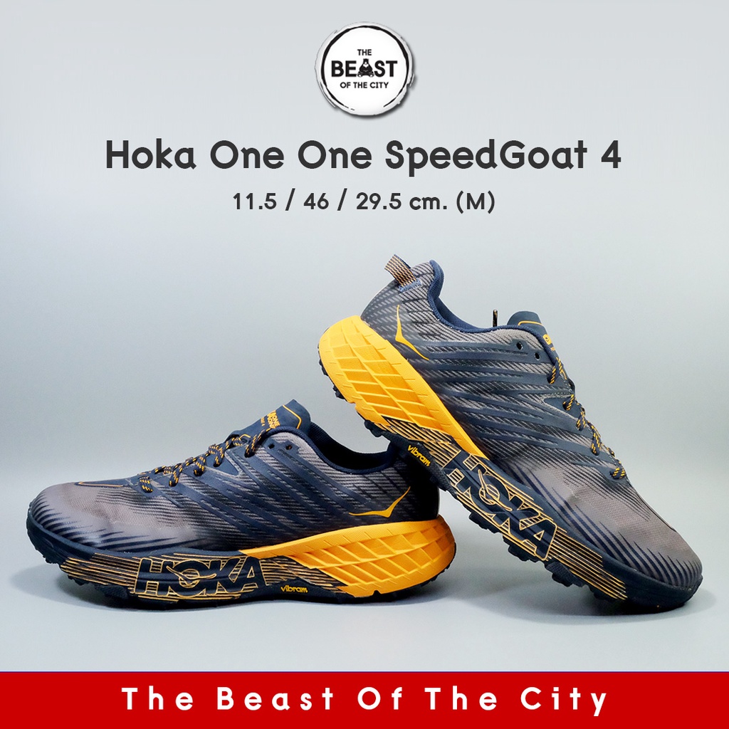 Hoka One One Speedgoat 4 (29.5)