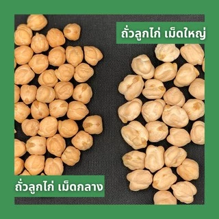 ถั่วลูกไก่ เม็ดกลาง 500 กรัม chickpeas (medium),kabuli chana (medium) ไม่รมยาฆ่าแมลง chickpea