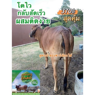 ไคโตซานอาหารเสริมสำหรับสัตว์เป็นสัดเร็วโตไวขนาด1000ml